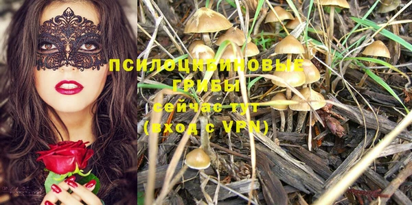 соль курить ск Алзамай